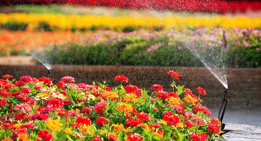 Sprinkler na zavlažovanie: vytvorenie priaznivého mikroklímu pre rastliny