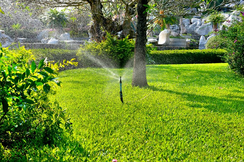 Sprinkler na zavlažovanie: vytvorenie priaznivého mikroklímu pre rastliny
