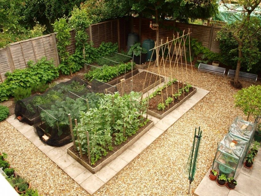 DIY do-it-yourself záhradné postele: zaujímavé nápady pre dizajn krajiny