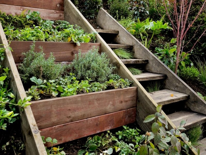 DIY do-it-yourself záhradné postele: zaujímavé nápady pre dizajn krajiny