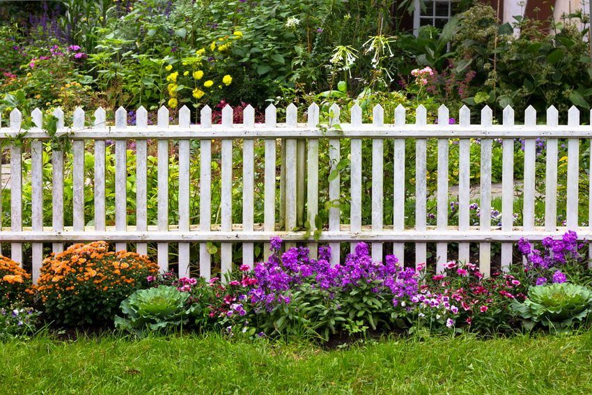Krásne ploty pre súkromné ​​domy: fotky zaujímavých živých plotov
