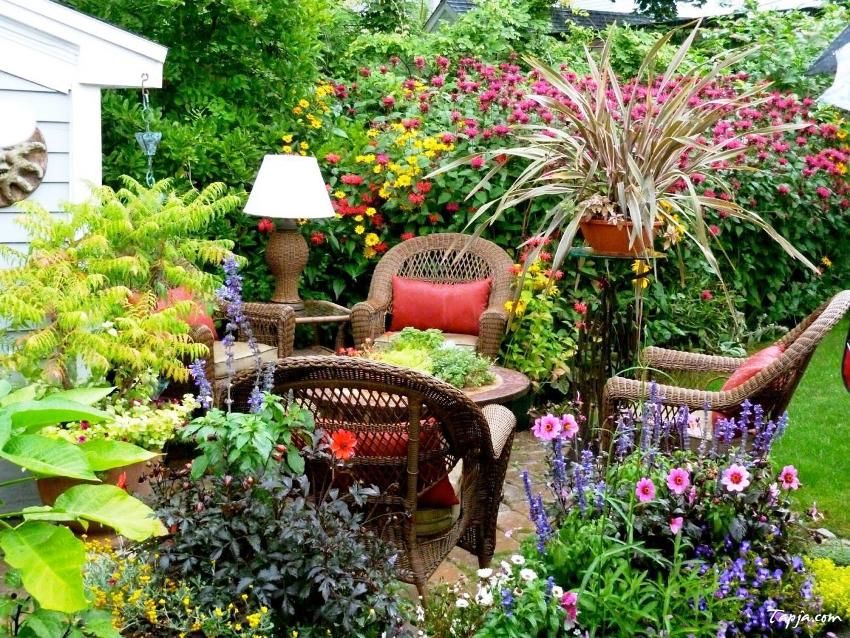Predná záhrada pred domom: dizajnové nápady a design do-it-yourself