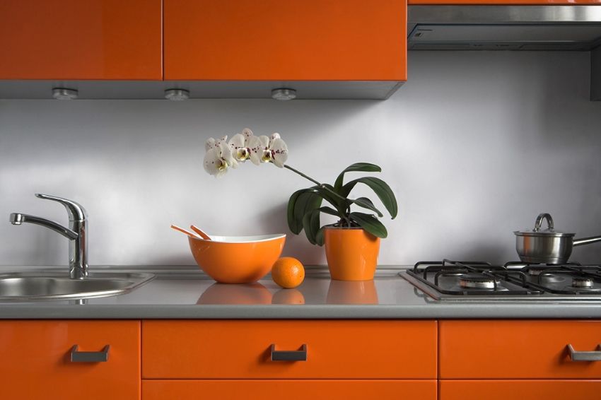 Panely pre kuchyňu: praktický a krásny dizajn stien a zástera