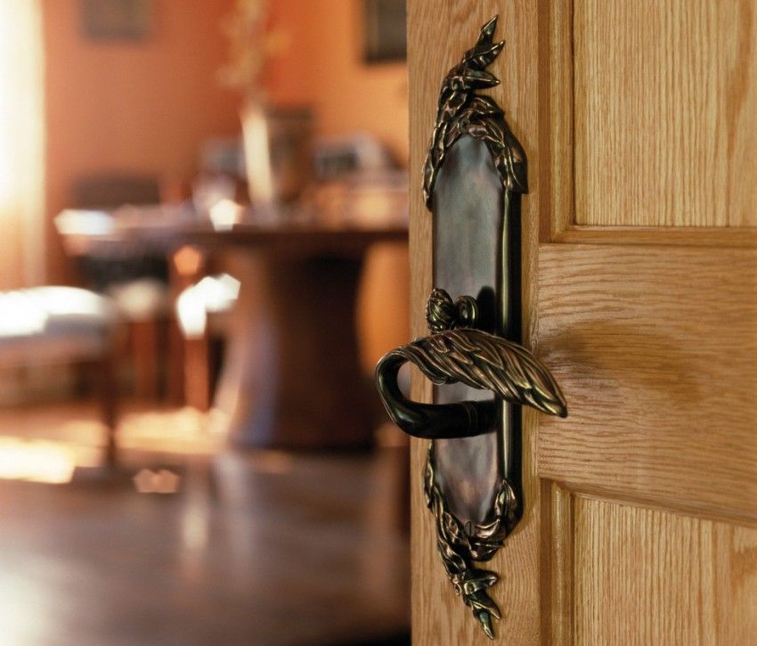 Držadlá pre interiérové ​​dvere: charakteristiky a typy výrobkov