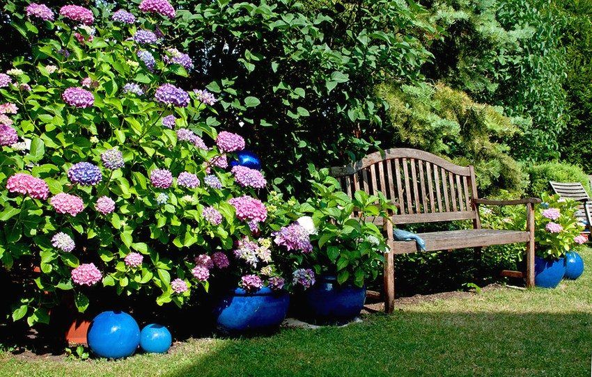 Záhradná lavica so zadnou časťou urobte sami: výkresy zaujímavých produktov