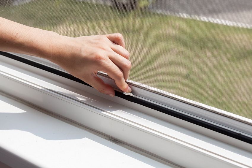 Sieťky proti komárom na oknách: spoľahlivá bariéra proti hmyzu, prachu a nadol
