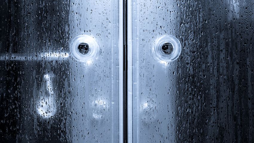 Sklenené dvere na sprchovanie: sľub pokoja, pohodlia a krásy