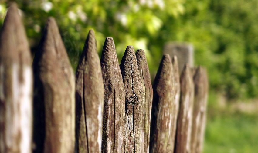 Drevené ploty: fotografické návrhy v modernej verzii